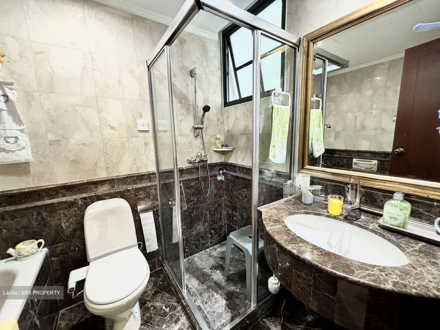Parc Palais (D21), Condominium #541887451